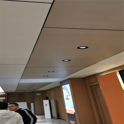 集成墙板400/600宽平缝V缝快装墙板 竹木纤维护墙板工厂批发图2