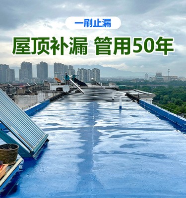 威勒防水涂料房顶防水补漏裂缝堵漏卫生间防水聚氨酯外墙涂料批发图4