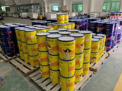 外墙乳胶漆 拉毛漆 油漆 弹性拉毛漆图4