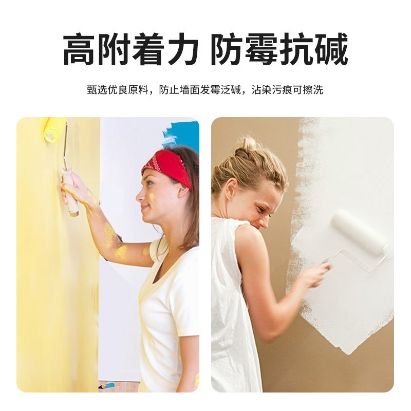 苏仙供应建筑家居内墙粉刷无机涂料 硅酸盐内墙白色无机涂料图4