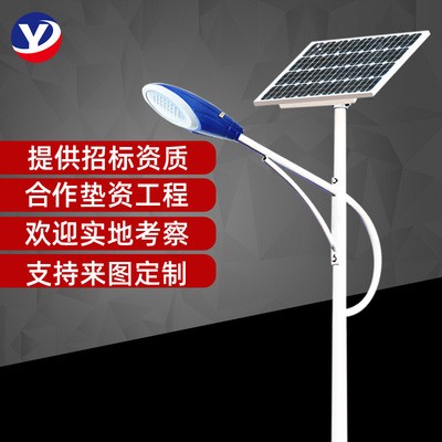 厂家生产批发太阳能路灯3.2V新农村365天天亮灯30W40W6米5米LED图4
