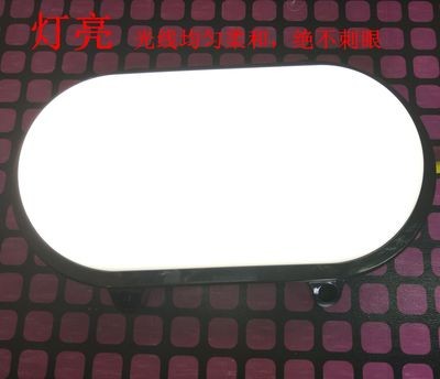 生产厂家供应塑料LED防潮灯 壁灯 户外灯图3