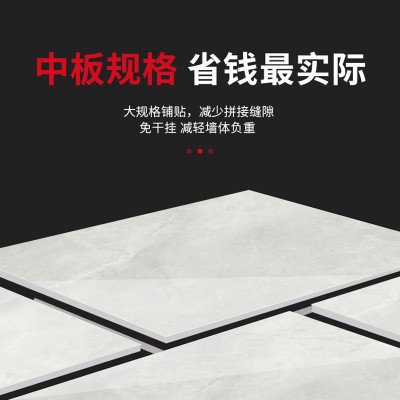 微水泥瓷砖大板750x1500柔光素色客厅微水泥地砖卫生间浴室墙砖图3
