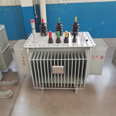 S13型铜芯315KVA/10/0.4KV油浸式电力变压器 全国发货图2