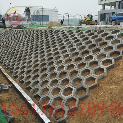 河南厂家供应 舒布洛克砖 6边型护坡砖 六棱块 六棱砖 量大从优图4
