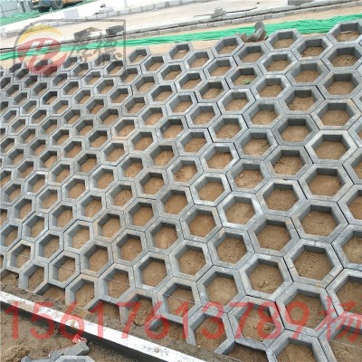 河南厂家供应 舒布洛克砖 6边型护坡砖 六棱块 六棱砖 量大从优图2