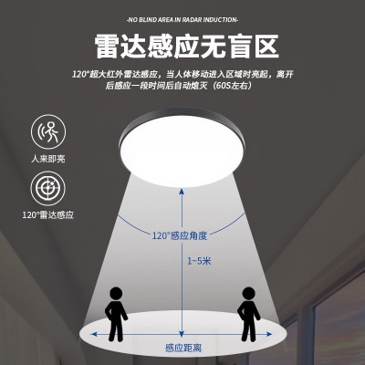 声控感应三防led吸顶灯 超薄高亮防水客厅灯中山卧室灯饰灯 具批发图4