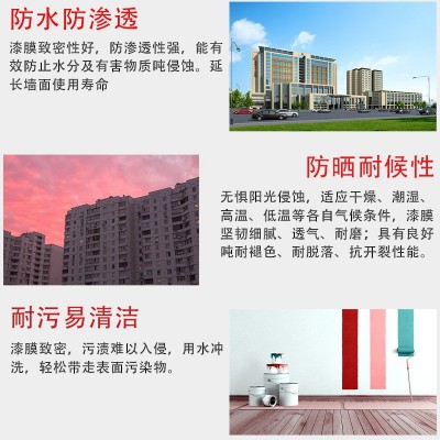 工程外墙漆厂家直销白色防水防霉弹性建筑油漆水性涂料外墙乳胶漆图2