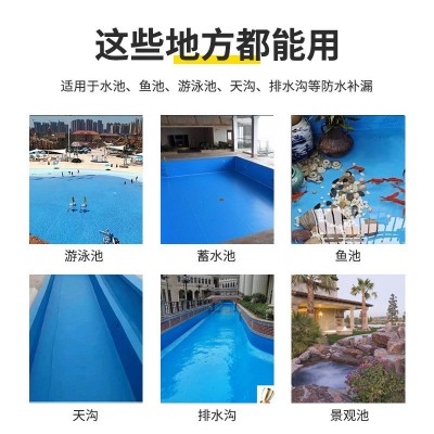 厂家直售水性游泳池鱼池防潮防水涂料蓄水池景观池防水漆材料批发图4