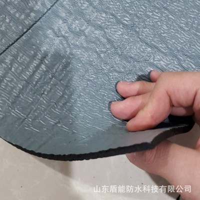 sbs防水卷材 sbs耐根穿刺防水卷材 工程平房补漏改性沥青聚酯图2