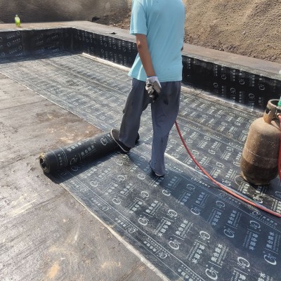厂家供应SBS弹性体改性沥青防水卷材屋面楼顶防水补漏火烤型sbs图3