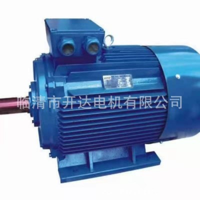 YE3-200L-4-30KW立卧式图4
