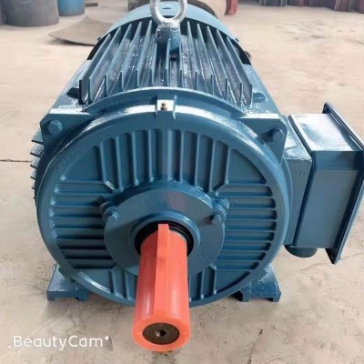 YE3电动机 高效率 大功率280S-2-75KW图2