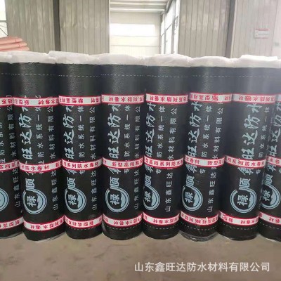 sbs防水卷材 楼顶屋面地下室防水 SBS弹性体改性沥青防水卷材图2