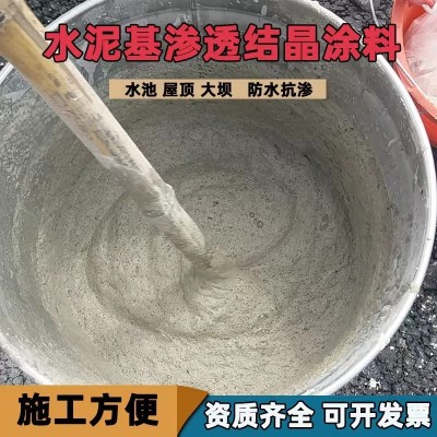 水泥基渗透结晶型防水涂料卫生间水泥屋顶漏水自愈防水材料水泥基图2