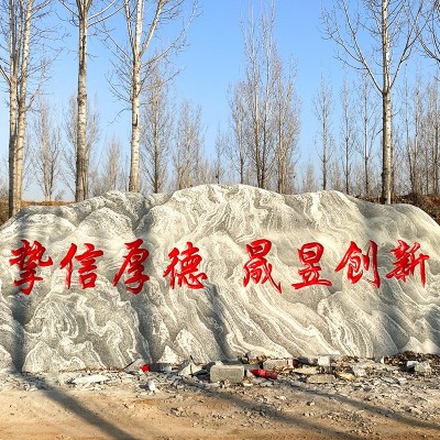 大型景观雪浪石批发 村口标志石户外公园文化观赏石泰山石刻字图3