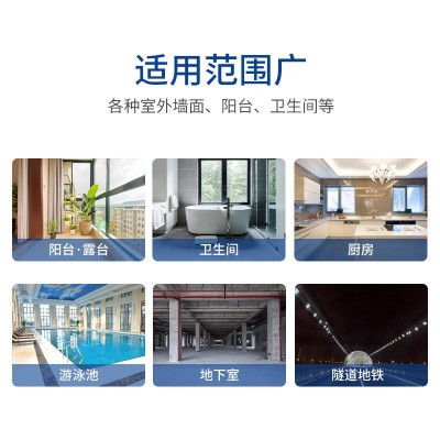 JS-991复合水泥基防水涂料 防水·防潮·防霉图3