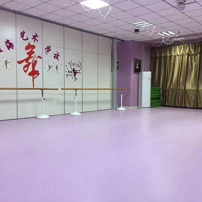 耐磨耐压防水防尘卷材地胶 PVC塑胶地板 金之泽直供图2