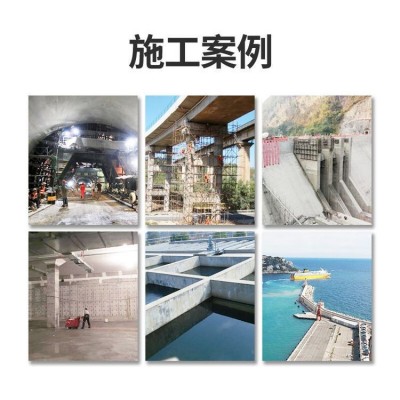中德新亚 聚合物水泥防水砂浆 抗裂抗冻耐磨污水池大坝地下室水塔图3