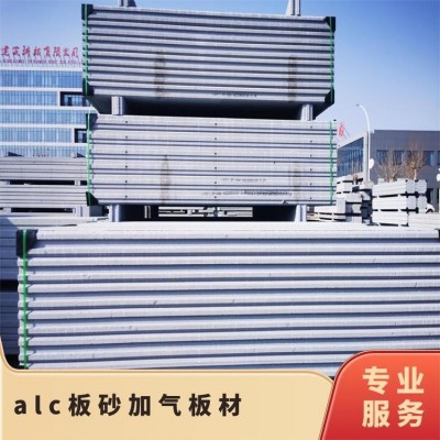 实心砌块 货号HR-001 标准 板状 可定制 alc板砂加气材图3