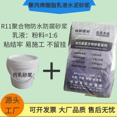 丙乳砂浆 聚丙烯酸酯乳液砂浆 双威 桥梁修补 找平 防水防腐 易施工图2