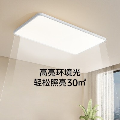 全光谱普瑞无缝隙长方形客厅灯led护眼吸顶灯简约现代房间卧室灯图2