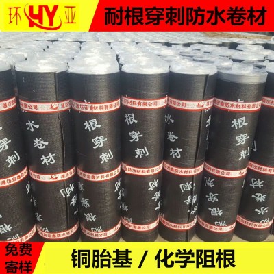 sbs改性沥青防水卷材 聚酯胎耐根穿刺卷材 屋顶屋面防水防潮材料图4