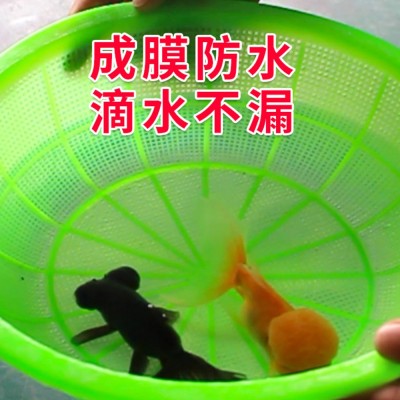 磊彩外墙透明防水胶　屋面卫生间墙体裂缝补漏免砸砖防腐防水胶图4