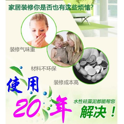 鸿音水性硅藻泥涂料内墙面家用环保硅藻乳胶漆防潮防霉防尘罩光漆图2