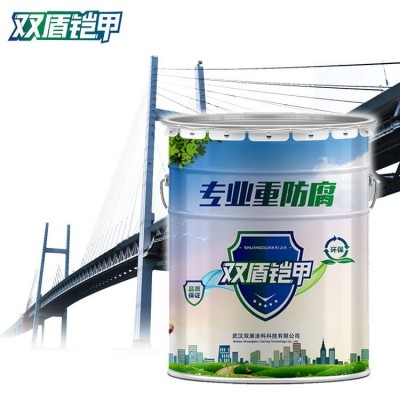 浙江宁波氟碳漆 双盾铠甲IPN8710互穿网络防腐漆 冰灰色涂料批发图3