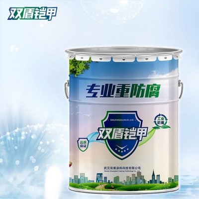 浙江宁波氟碳漆 双盾铠甲IPN8710互穿网络防腐漆 冰灰色涂料批发图5