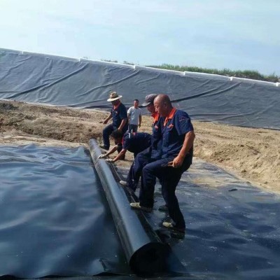 名博工程土工布聚脂无纺布生产防渗土工膜HDPE黑色 可带施工图4