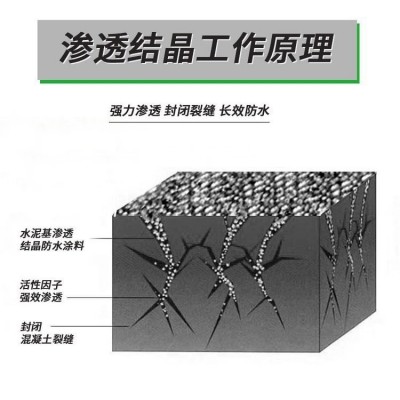 水泥基渗透结晶型防水涂料渗透结晶水池大坝隧道防水图4