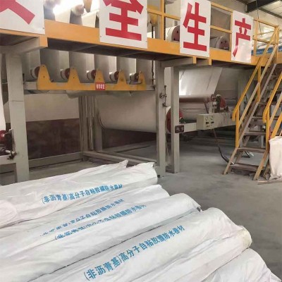 非沥青基自粘胶膜防水材料 防水补漏 HDPE高分子自粘胶膜防水卷材图3