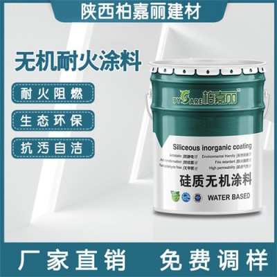 陕 西柏嘉丽无机涂料 无机耐火涂料批发 硅质防火生态环保漆供应图2