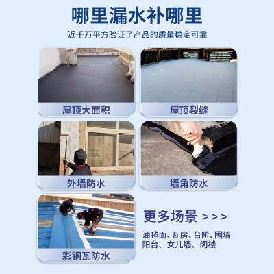 简泰屋顶防水涂料液体卷材楼顶窗台堵漏王平房裂缝漏水 聚氨酯材料图4