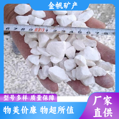 公共建筑园林装饰机制白色砾石白石子12-15mm景观水洗石碎石图4