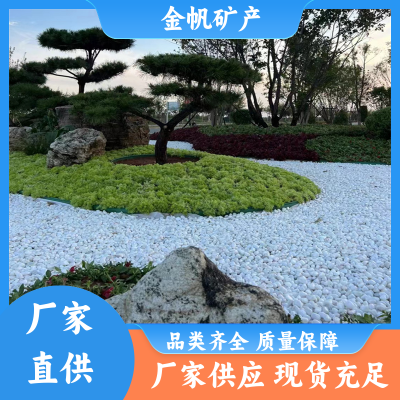公共建筑园林装饰机制白色砾石白石子12-15mm景观水洗石碎石图5