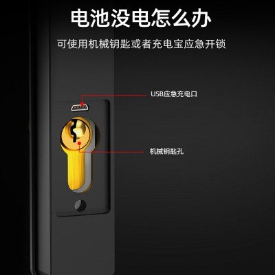 断桥铝指纹锁肯德基平移门窄边推拉门APP防水户外密码智能 电子锁图3