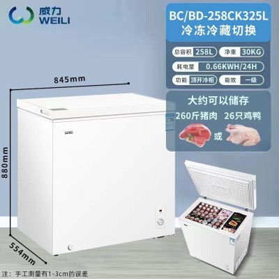 跨境电商威力家用小型商用大容量冷冻冷藏卧式冷柜急冻租房小冰柜    1台图2