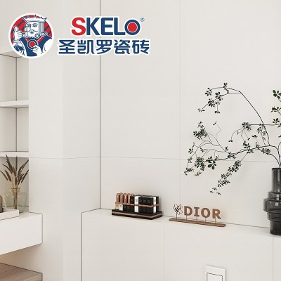 圣凯罗 55度柔光超白岩板瓷砖800x800厨房卫生间阳台墙砖地板砖   1片图4