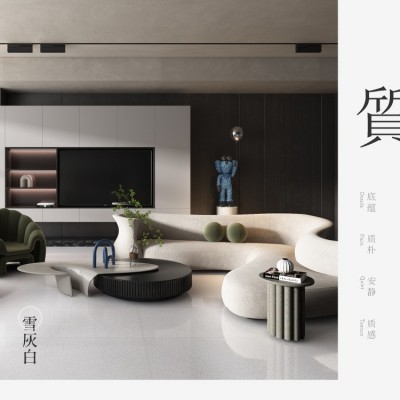 亮面水磨石瓷砖吸水率低素色背景墙地板砖卫生间客厅地砖60x120图4