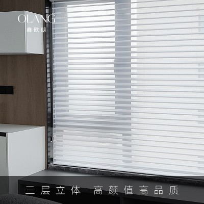 书房电动香格里拉帘柔纱百叶卷帘遮光卷拉式衣帽间手动香格里拉帘图4