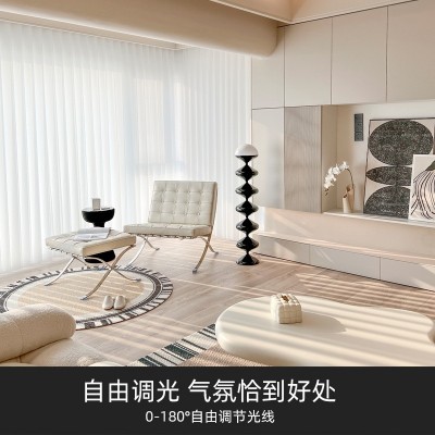 客厅阳台电动梦幻帘厂家办公室垂直竖百叶手动梦幻窗帘哈纳 斯窗帘图4