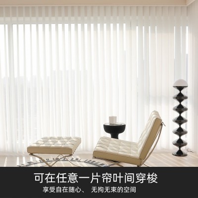 客厅阳台电动梦幻帘厂家办公室垂直竖百叶手动梦幻窗帘哈纳 斯窗帘图5