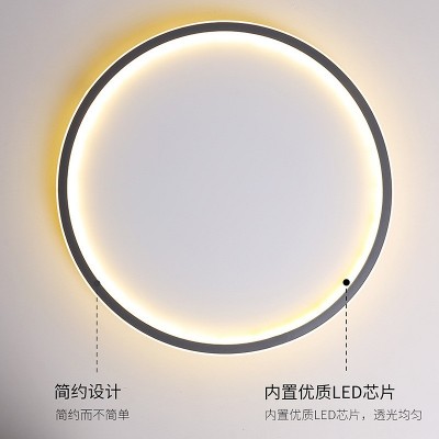 北欧圆形家用客厅吸顶灯 极简创意几何卧室灯 简约护眼现代过道灯图2