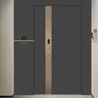 别墅入户家用一门一景铸铝非标大门双开高端进户子母防盗门甲级图2