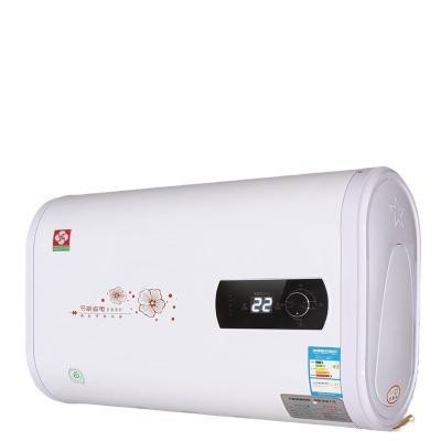 厂家供应家用电热水器40L80升节能即热速热储水式洗澡机批发图5
