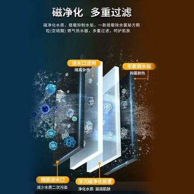 现货批发家用燃气热水器 天然气液化气16L强排式恒温零冷水热水器图4