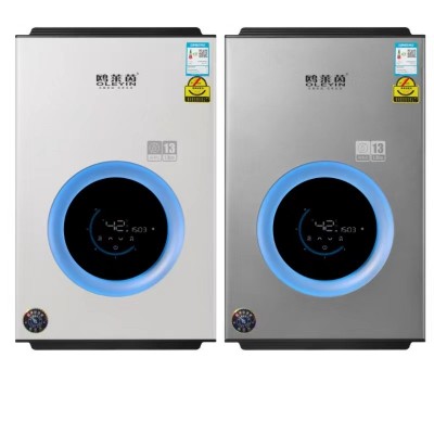 现货批发家用燃气热水器 天然气液化气16L强排式恒温零冷水热水器图5
